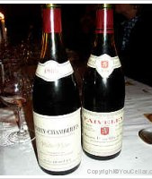 Domaine Alain Burguet - Jeunes Vignes