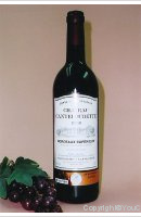 Château Canteloudette