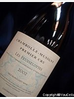 Domaine Thibault Liger-Belair