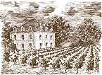 Château Paradis Casseuil