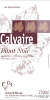 Gérald Besse - Calvaire