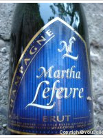 Martin Lefevre - Brut