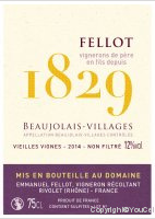 Emmauel Fellot - Vielles vignes