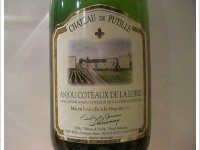 Château de Putille