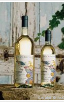 Moletto - Chardonnay San Rocco