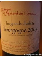 Bertrand Machard de Gramont - Les Grands Chaillots