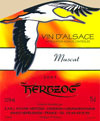 Sylvain Hertzog Muscat