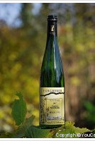 Domaine André Mauler - Burgreben