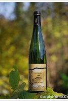 André Mauler Pinot Gris