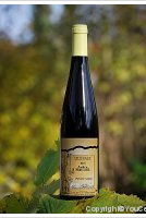 André Mauler Pinot Noir