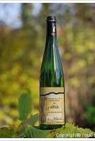André Mauler Gewurztraminer