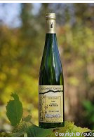 André Mauler Pinot Gris Vendanges Tardives