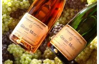 Domaine Gérard Metz