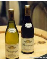 Domaine Brintet