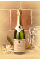 Domaine Ferrand Nadine - Blanc de Blancs
