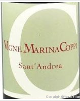 Vigne Marina Coppi - Sant'Andrea