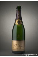 Pol Roger - Rosé Vintage