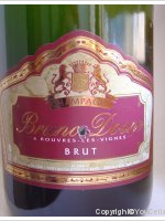 Bruno Dosne - Brut