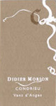 Didier Morion - Vent d'Anges