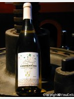 Michel et Pompilia Guiraud - Vermentino