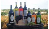 Domaine de Cassagnole - Cuvée Simon