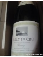 Domaine Sylvain Ponsot - 1er Cru Vauvry