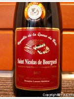 Domaine Laurent Mabileau - Vignoble de la Queue du Bois