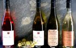 Domaine François Ray - Le Grand Jardin