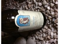 Amélie Guillot - Chardonnay Vieilles vignes