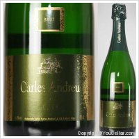 Carles Andreu - Brut