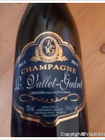 R. Vallet-Gadret - Brut