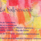 Marie et Vincent Tricot - La Bulleversante