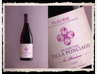 Villa Ponciago
