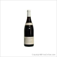 Domaine Prunier-Damy - Trois Follots