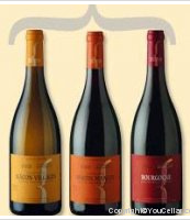 Vignerons de Mancey - 1er Cru - Clos Rousseau
