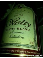 Welty - Bollenberg