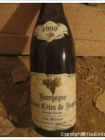 Domaine Jean Michelot