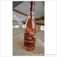 Domaine Laurent Mabileau - Vignoble de la Queue du Bois
