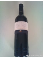 Domaine de la Planta - Pinot Noir - Fût de Chêne