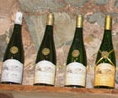 Vignoble de la Mulonnière