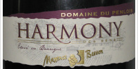 Maxence Besson - Harmony
