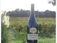Domaine Gigondan