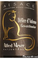 Alfred Meyer - Délice d'automne