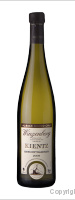 René Kientz Fils - Grand cru - Winzenberg