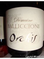 Domaine Balliccioni - Orchis