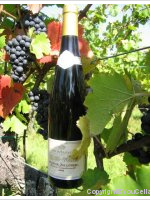Domaine Eblin-Fuchs - Rouge de Zellenberg