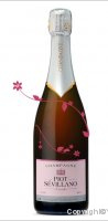 Piot Sevillano - Brut