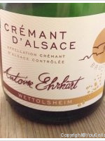 Antoine Ehrhart - Brut