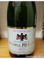 Samuel Janisson - Michel Pierson - Brut