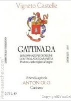 Antoniolo - Vigneto castelle